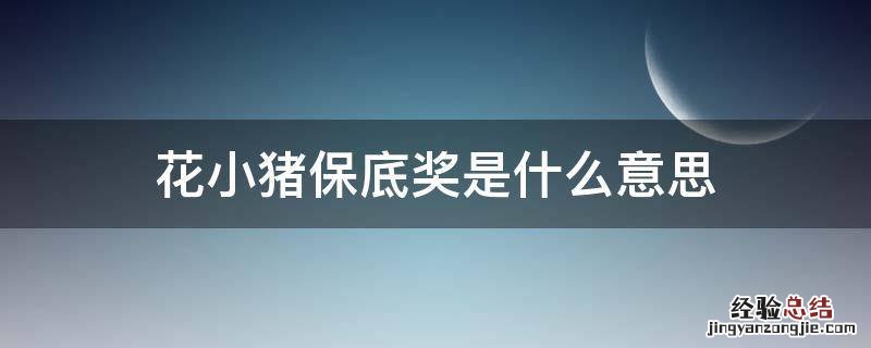 花小猪保底奖是什么意思