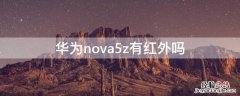 华为nova5z有红外吗