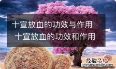 十宣放血的功效与作用 十宣放血的功效和作用