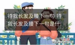 待我长发及腰下一句 待我长发及腰下一句是什么