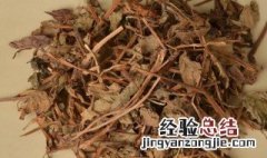 干鱼腥草保存方法 干鱼腥草保存方法图片