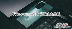 华为nova8pro怎么设置动态壁纸