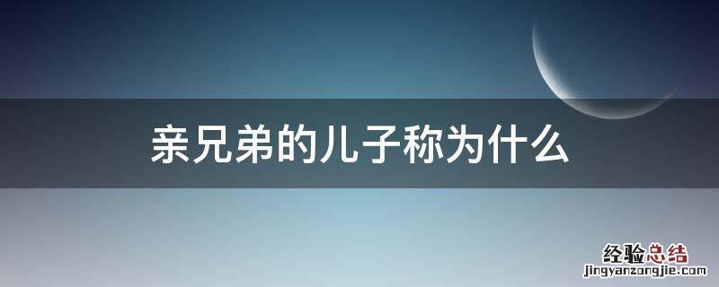 亲兄弟的儿子称为什么