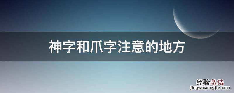 神字和爪字注意的地方