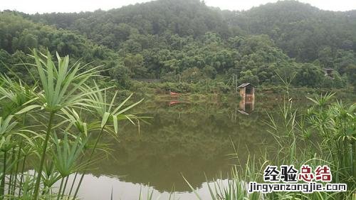 璧山有哪些景点