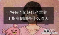 手指有倒刺缺什么营养 手指有倒刺是什么原因