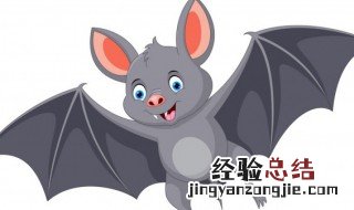 家里飞进来一只蝙蝠怎么办?有毒吗? 家里飞进来一只蝙蝠怎么办