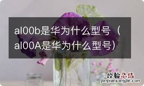 al00A是华为什么型号 al00b是华为什么型号