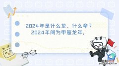 2024年是什么年什么命