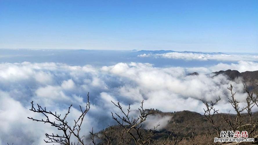 天目山有哪些景点