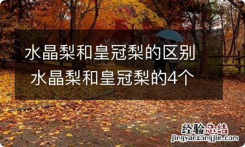 水晶梨和皇冠梨的区别 水晶梨和皇冠梨的4个区别