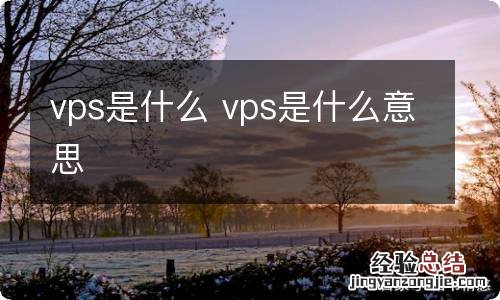 vps是什么 vps是什么意思