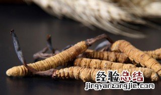 冬虫夏草每次吃几根最好 冬虫夏草每次吃几根最好呢