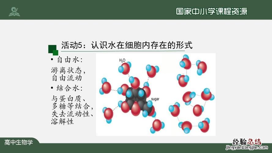 无机物和有机物的区别