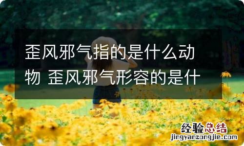 歪风邪气指的是什么动物 歪风邪气形容的是什么动物