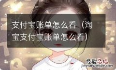 淘宝支付宝账单怎么看 支付宝账单怎么看