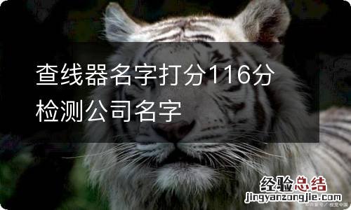 查线器名字打分116分 检测公司名字