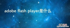 adobe flash player是什么