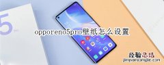 opporeno5pro壁纸怎么设置