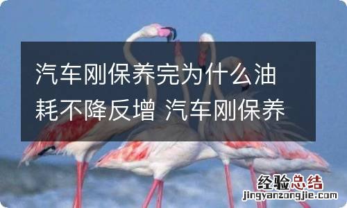 汽车刚保养完为什么油耗不降反增 汽车刚保养完为什么油耗不降反增了