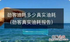 劲客真实油耗报告 劲客油耗多少真实油耗