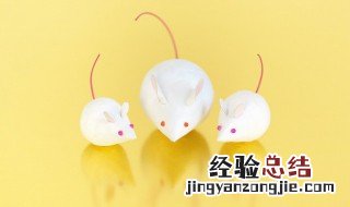 老鼠讨厌什么气味东西 盘点老鼠讨厌的味道