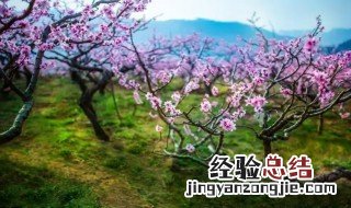 三月的桃花水是指什么 三月的桃花水是指什么水