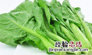 小芥菜和大芥菜的区别 小芥菜和大芥菜的区别是什么