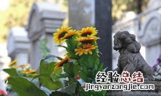 清明扫墓的七大注意事项有哪些 清明扫墓的七大注意事项