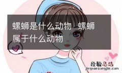 螺蛳是什么动物螺蛳属于什么动物