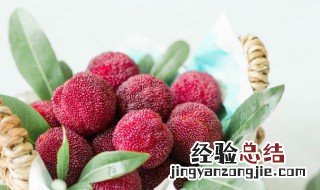 梅核属于什么垃圾 杨梅核是什么垃圾