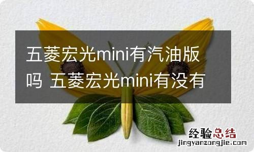 五菱宏光mini有汽油版吗 五菱宏光mini有没有汽油版的