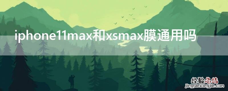 iPhone11max和xsmax膜通用吗