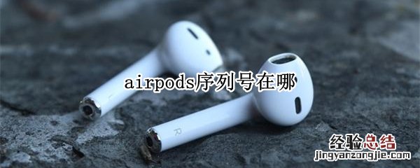 airpods序列号在哪