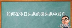 如何在今日头条的微头条中发布