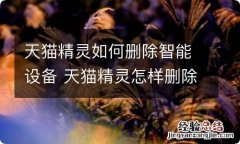 天猫精灵如何删除智能设备 天猫精灵怎样删除智能设备