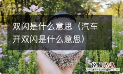 汽车开双闪是什么意思 双闪是什么意思