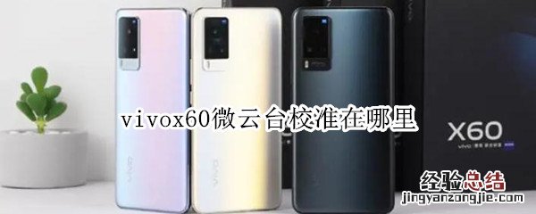 vivox60微云台校准在哪里