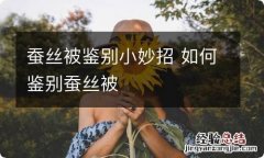 蚕丝被鉴别小妙招 如何鉴别蚕丝被