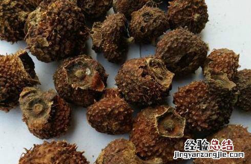 刺梨干怎么泡水