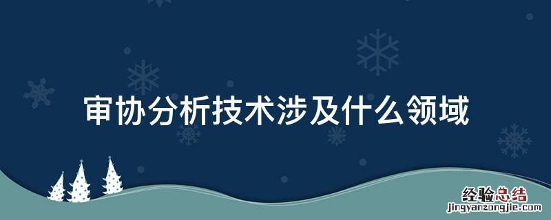 审协分析技术涉及什么领域