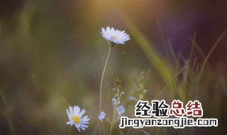 人生不顺时牢记三句话 人生不顺时牢记这3句话好运自然来