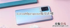 vivox60propose指引在哪