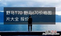 野马T70 野马t70价格图片大全 报价