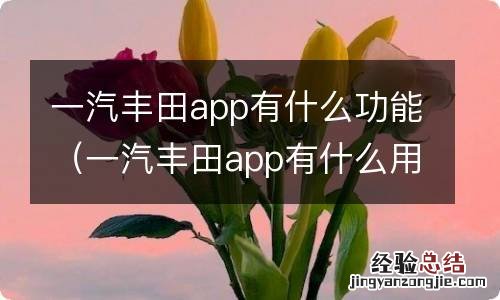一汽丰田app有什么用 一汽丰田app有什么功能