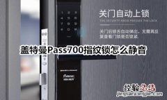 盖特曼Pass700指纹锁怎么静音