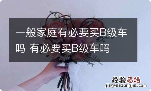 一般家庭有必要买B级车吗 有必要买B级车吗