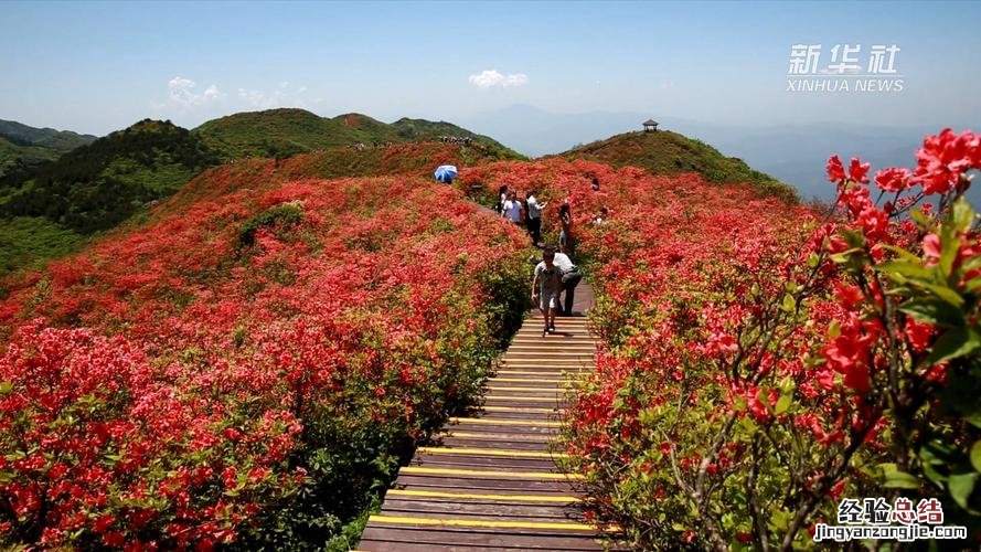 新化有哪些旅游景点