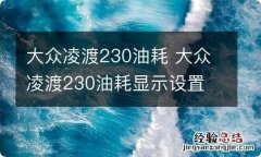 大众凌渡230油耗 大众凌渡230油耗显示设置