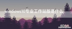 windows10专业工作站版是什么